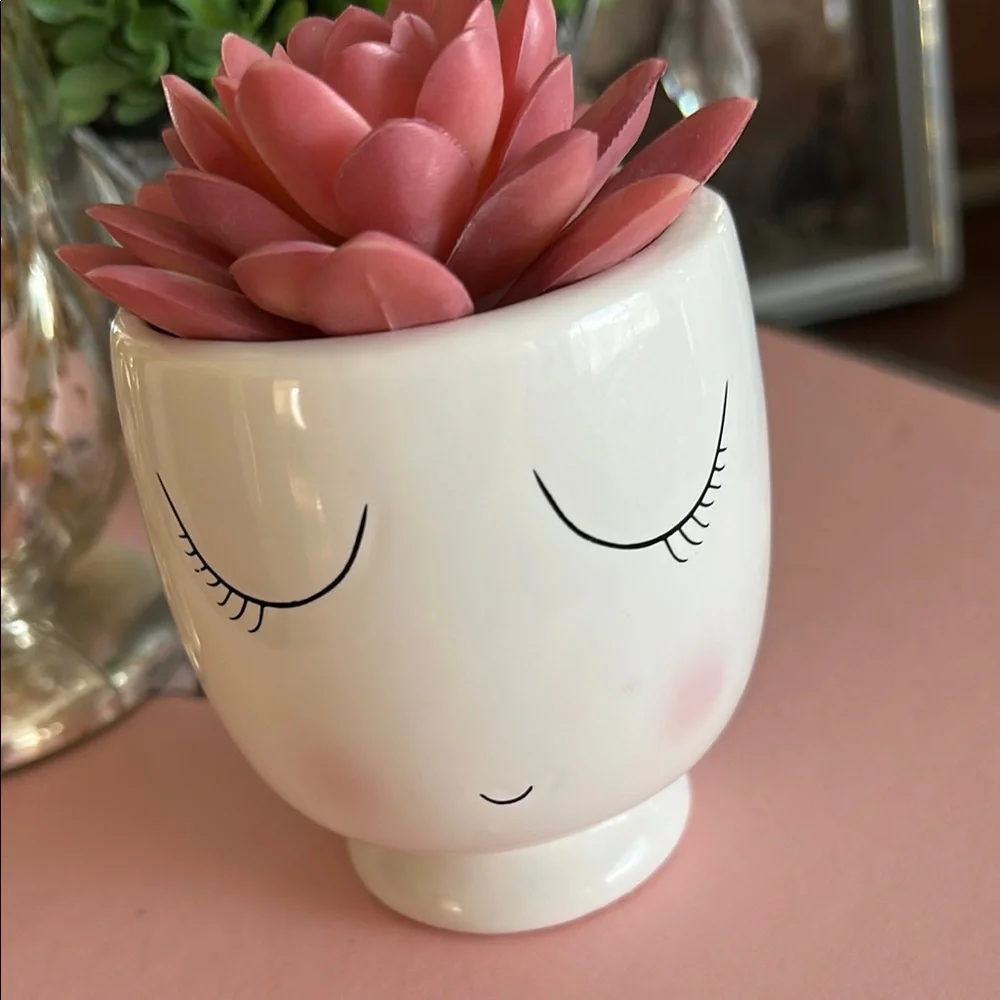Feminine Face Planters with faux Succulents in pink and green set of two